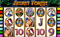 Secret Forest